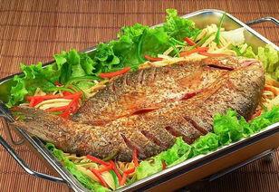 石家庄烤鱼爆料视频曝光,揭秘网红爆火背后的美味传奇