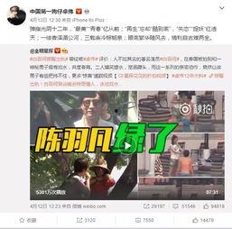 宋夫人爆料合集视频在线观看,揭秘娱乐圈不为人知的秘密  第3张